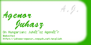 agenor juhasz business card